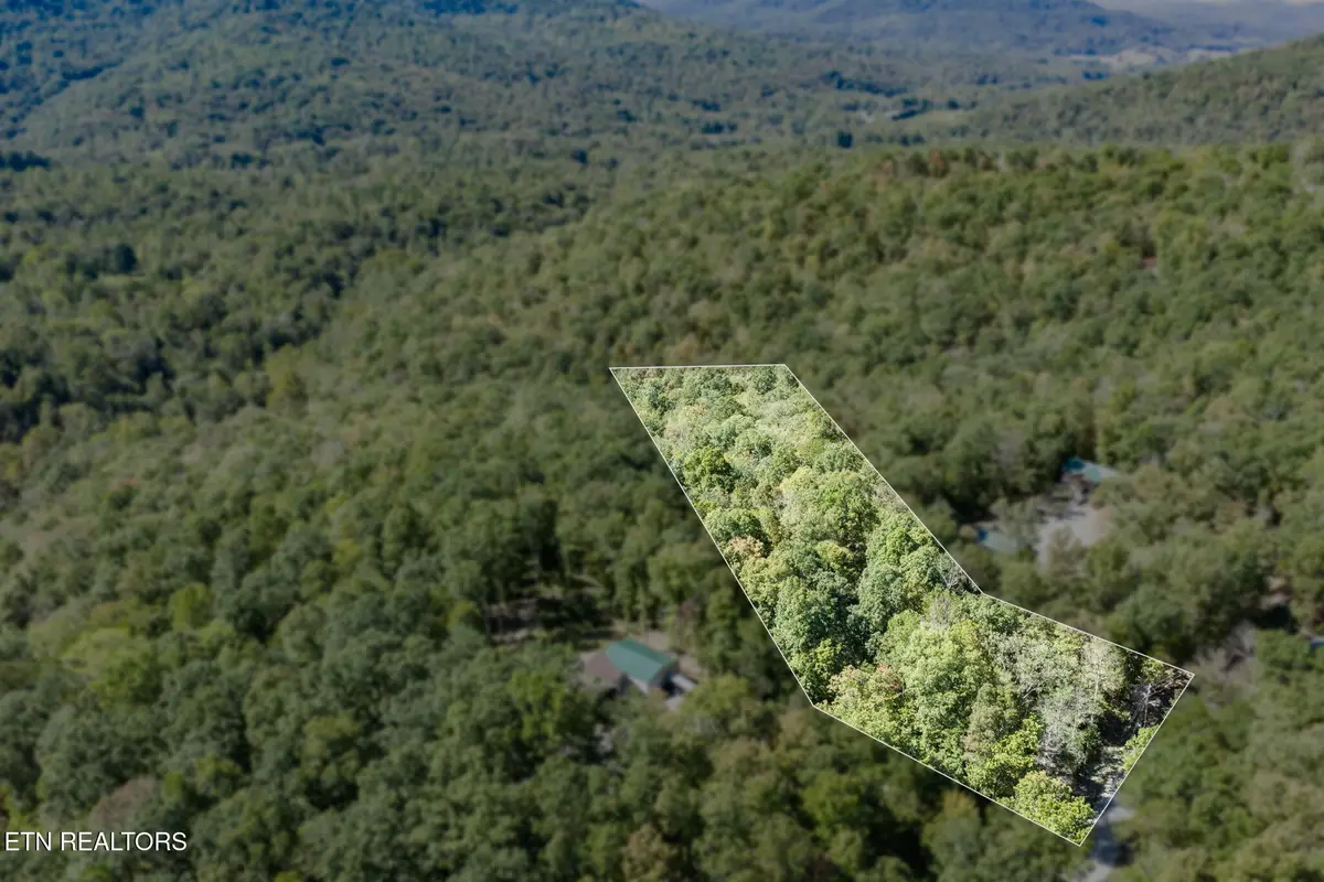 8 Buffalo Cove Lane, Jamestown, TN 38556 - #1