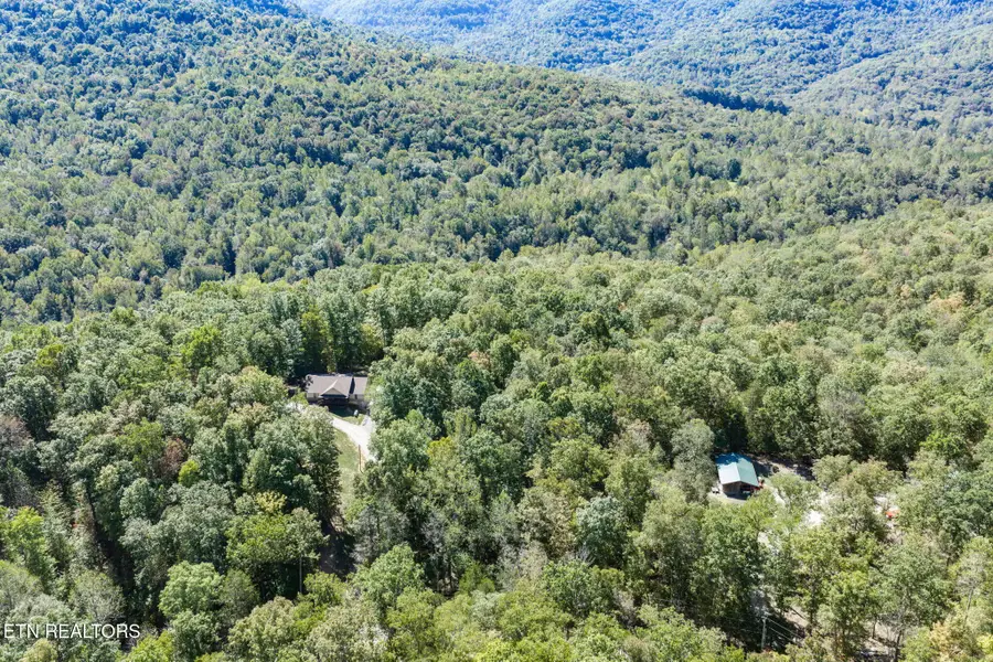 8 Buffalo Cove Lane, Jamestown, TN 38556 - #3