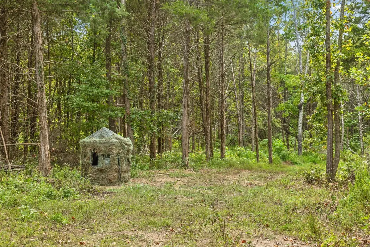 10 Sturgeon Creek Rd, Cedar Hill, TN 37032 - #1