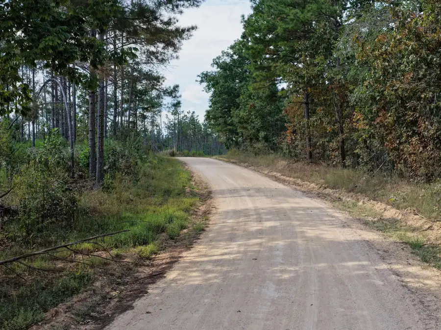 0 Coy Hill Rd, Savannah, TN 38372 - #2