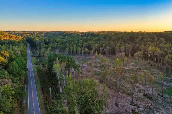 0 Birdsong Road, Holladay, TN 38341