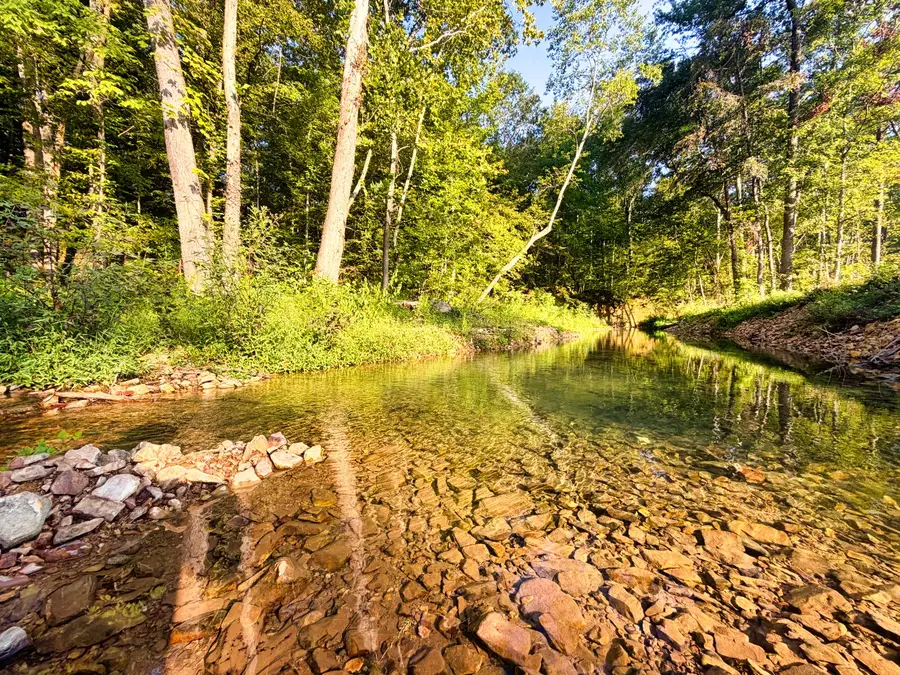 0 Birdsong Road, Holladay, TN 38341 - #2