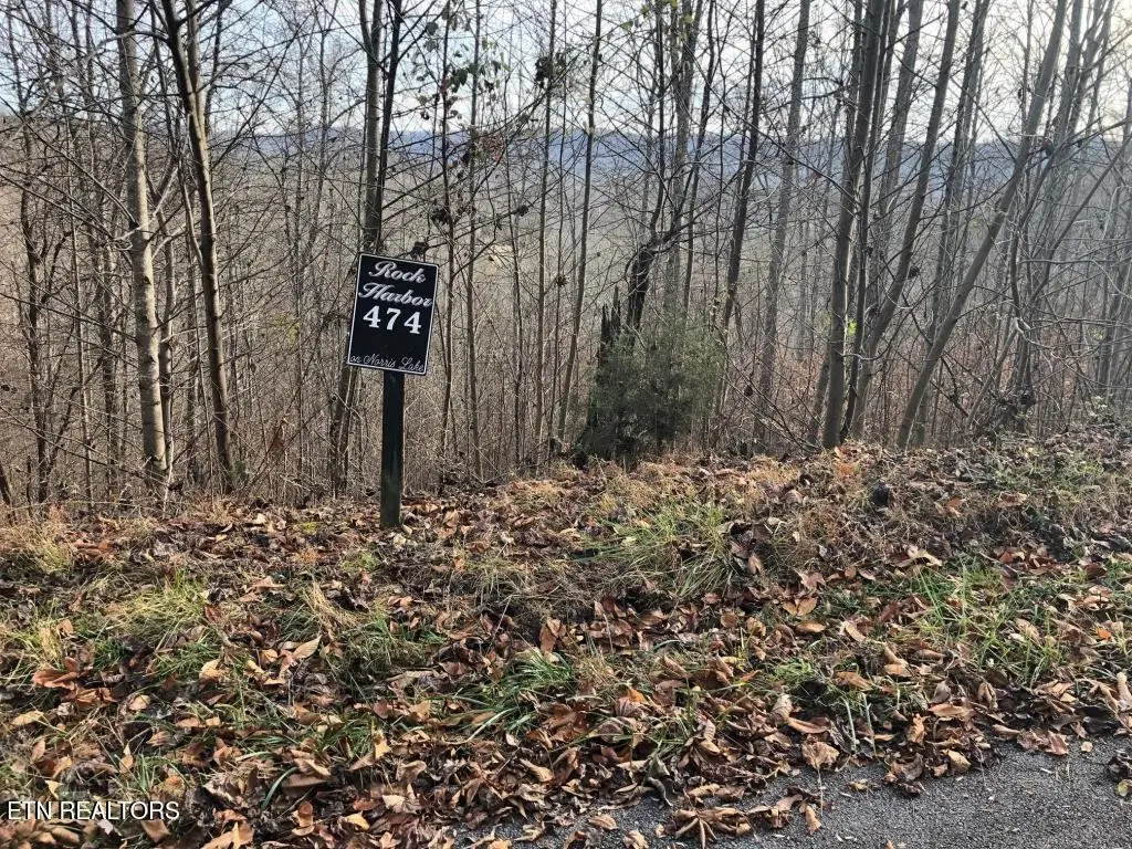 0 Silver Tr, New Tazewell, TN 37825 - #1