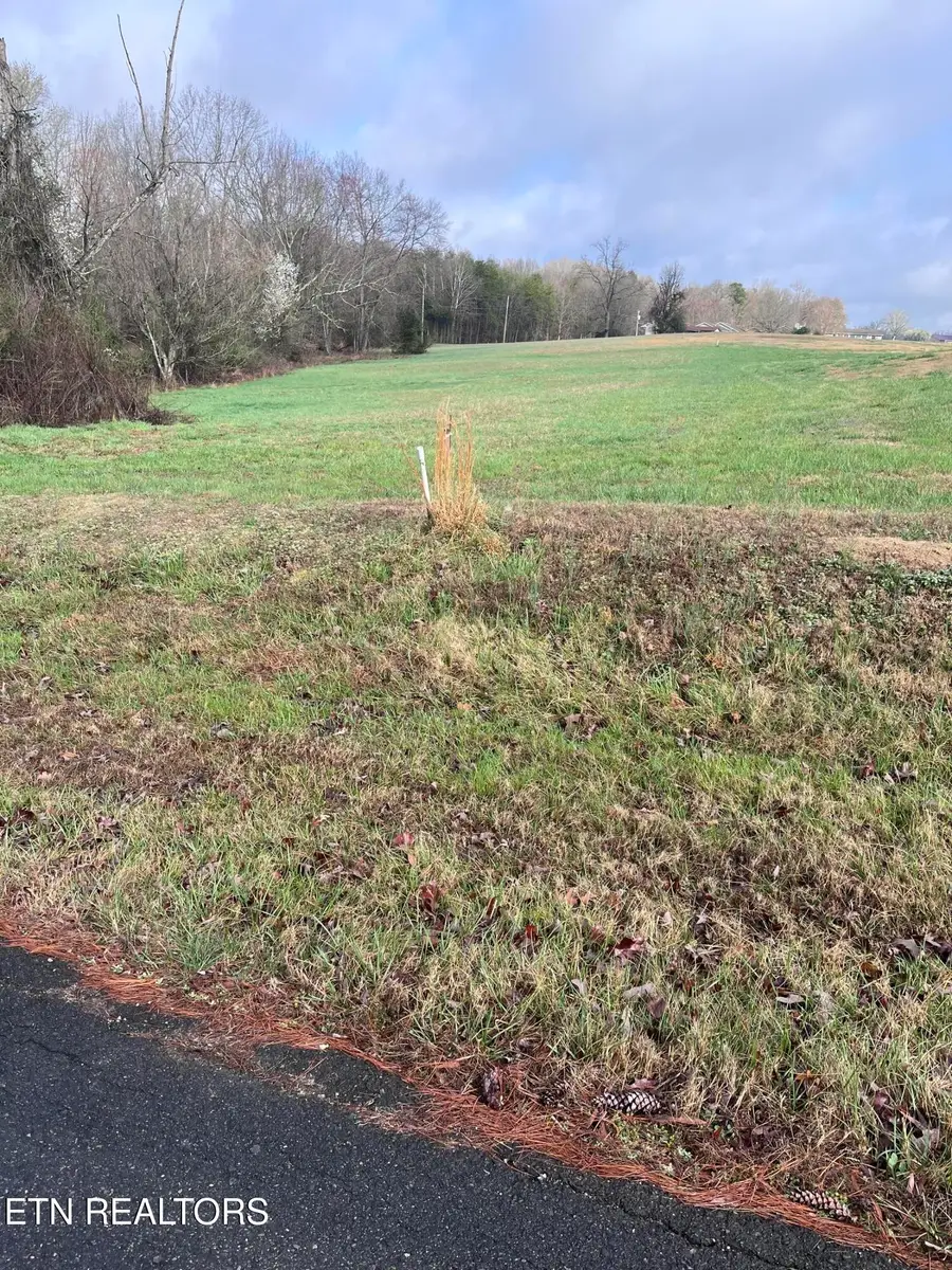 0 Mountain View Lane, Baneberry, TN 37890 - #3