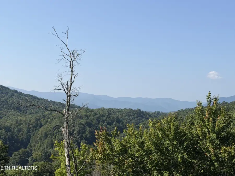 4228 Wears Valley Rd, Sevierville, TN 37862 - #2