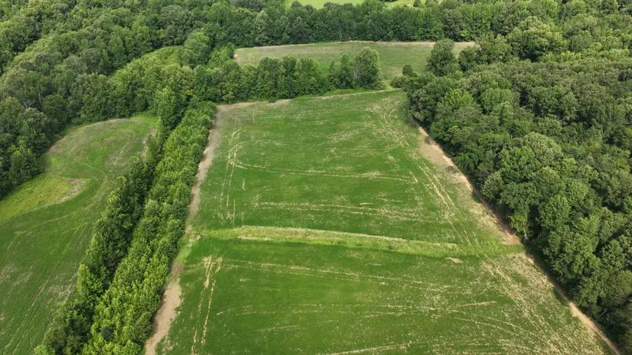 9601 Old Mayfield Road, Boaz, KY 42027 - #3