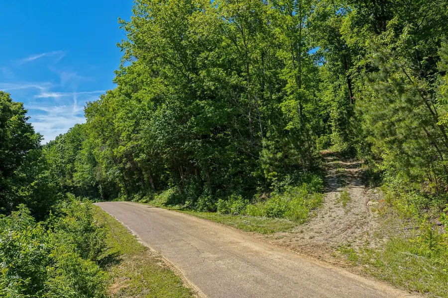 0 Mayberry Prong Road, Linden, TN 37096 - #2