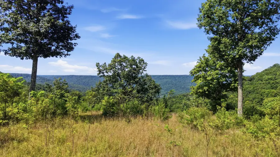 622 Coyote Trail, Spencer, TN 38585 - #2