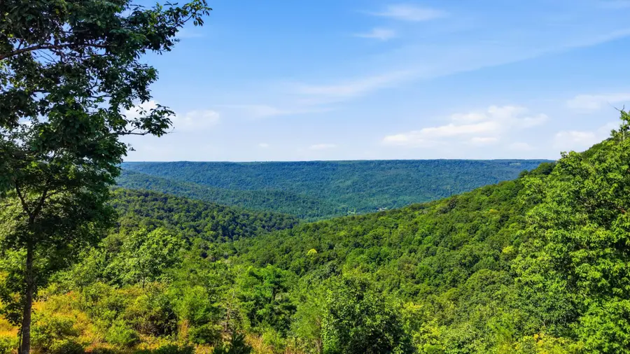 622 Coyote Trail, Spencer, TN 38585 - #3