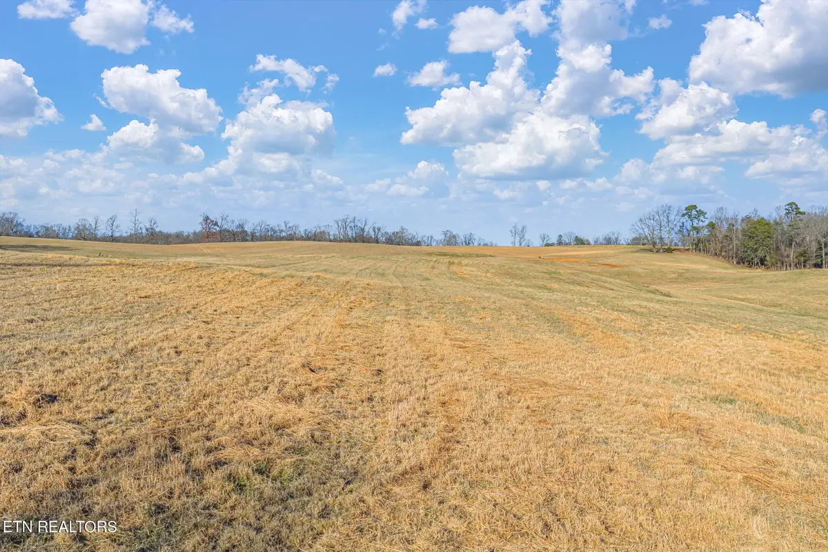 0 Thorngrove Pike, Strawberry Plains, TN 37871 - #1