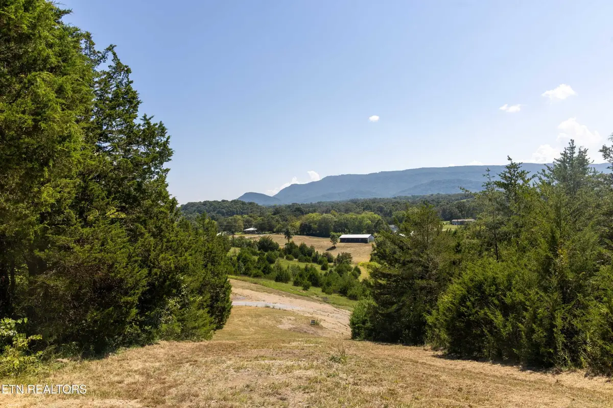 3 N Knob Creek Rd, Seymour, TN 37865 - #1