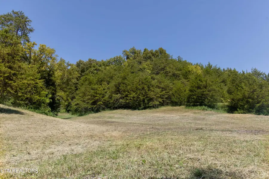 3 N Knob Creek Rd, Seymour, TN 37865 - #2