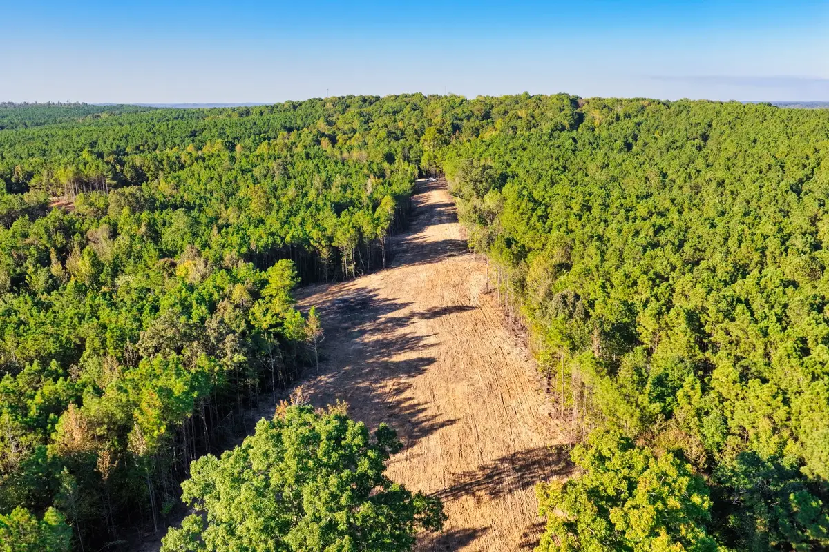 0 Williams Grove Road, Camden, TN 38320 - #1