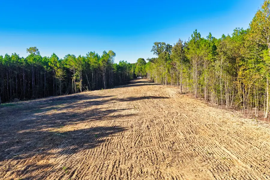 0 Williams Grove Road, Camden, TN 38320 - #2