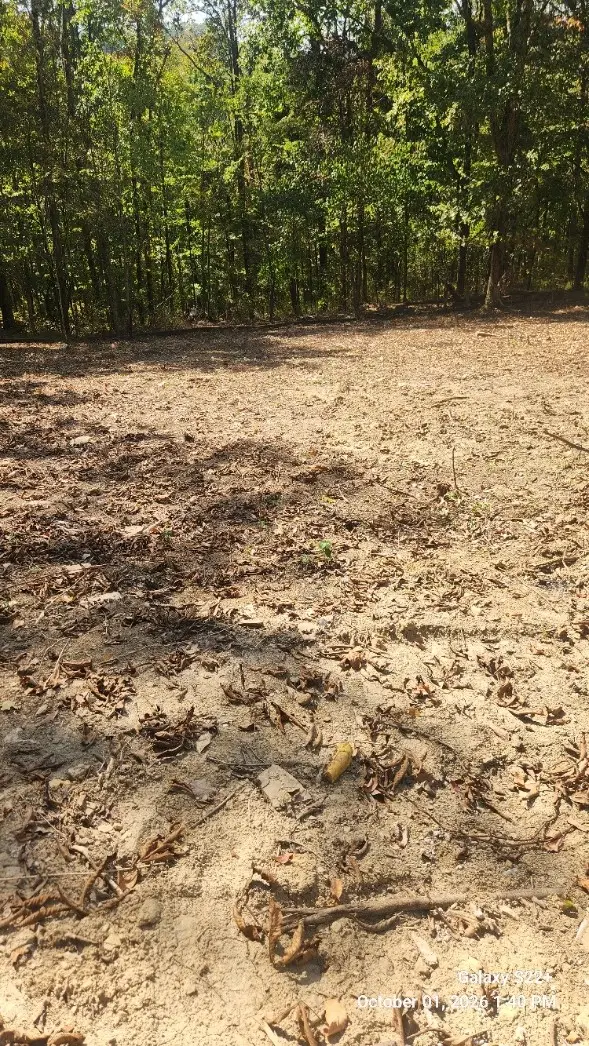 320 Hilltop Ln, Gainesboro, TN 38562 - #1