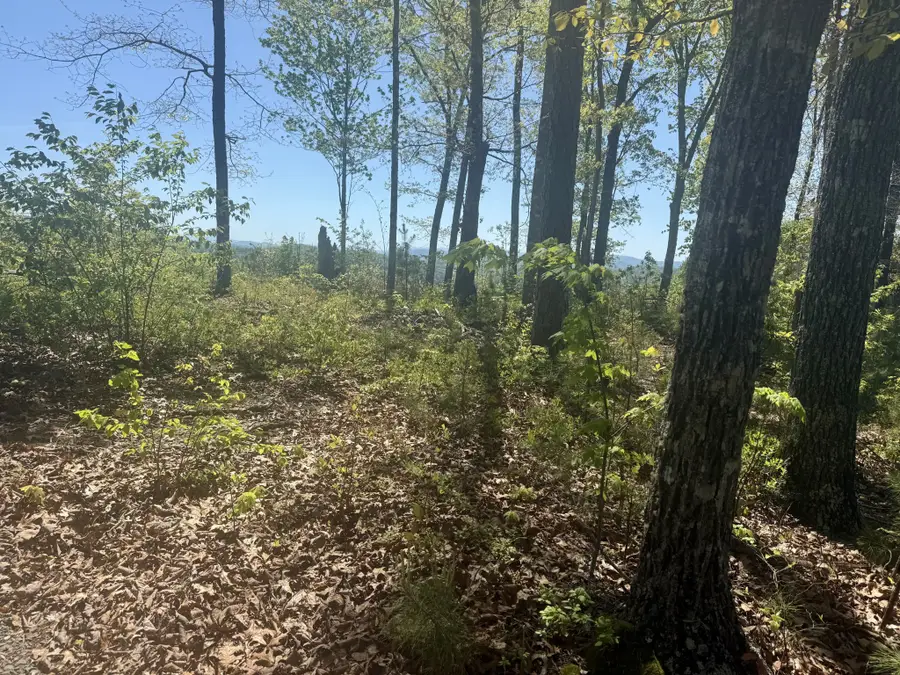 0 Wayah Rdg, Murphy, NC 28906 - #3