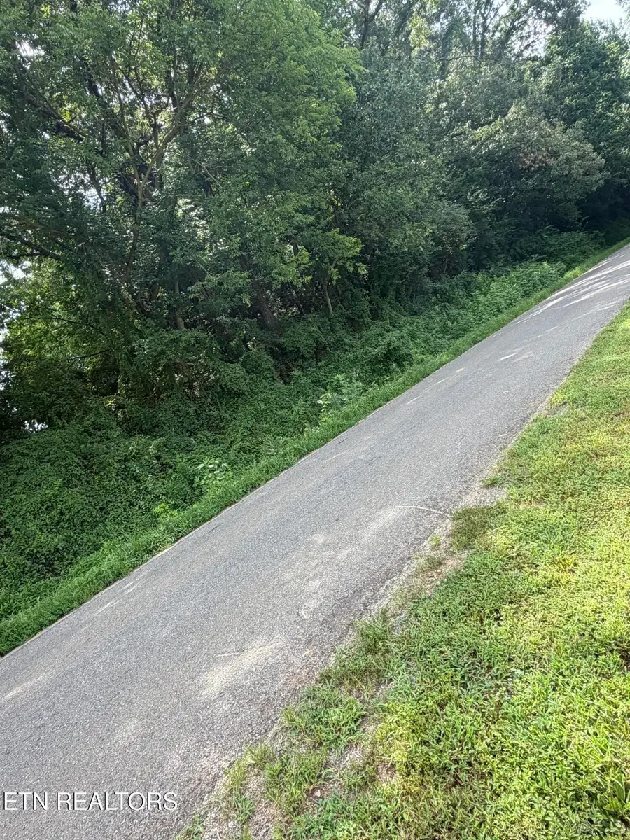 143 Randolph Fridley Rd, Sweetwater, TN 37874 - #2
