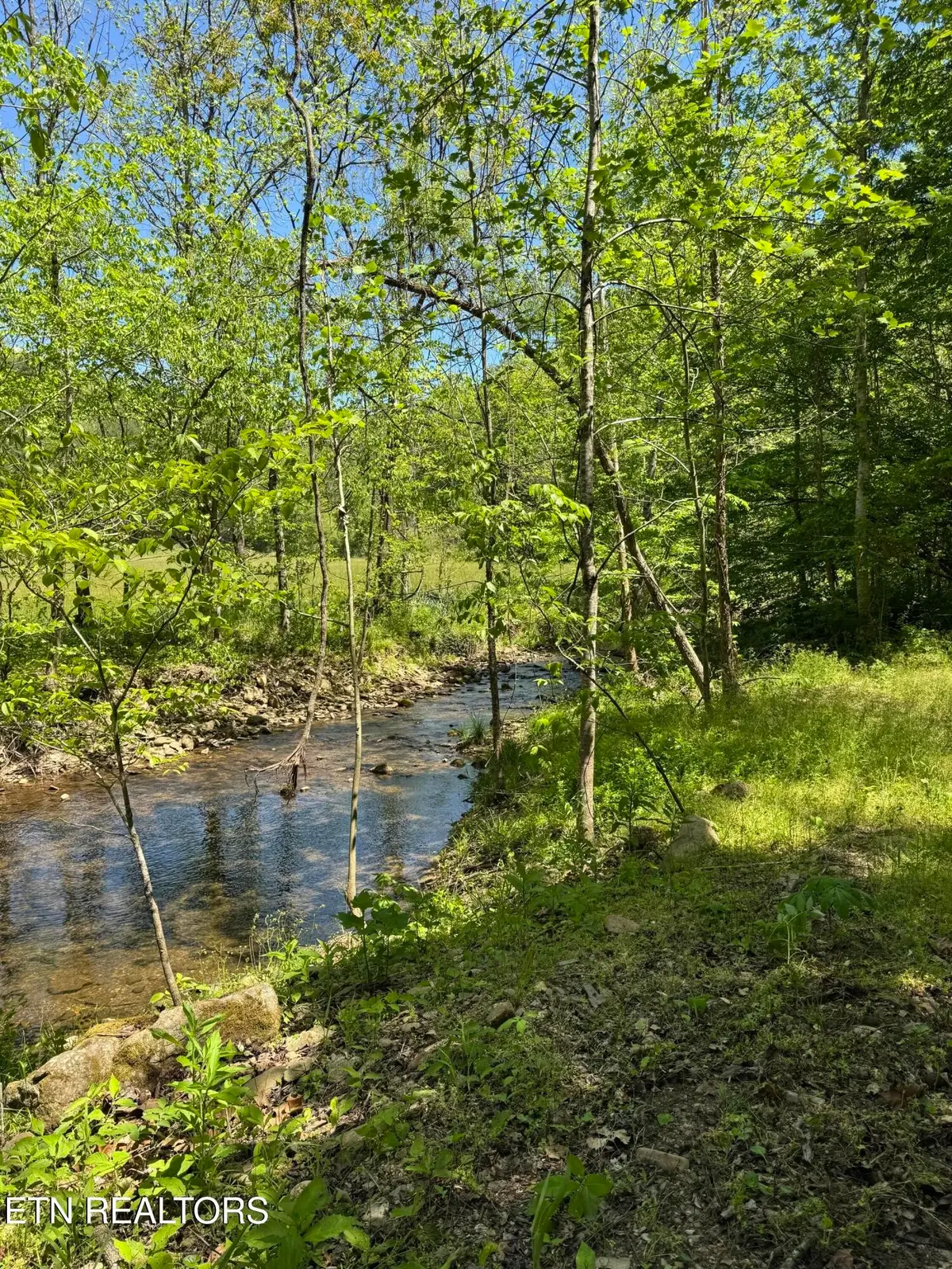 915 Chestnut Valley Rd, Vonore, TN 37885 - #1