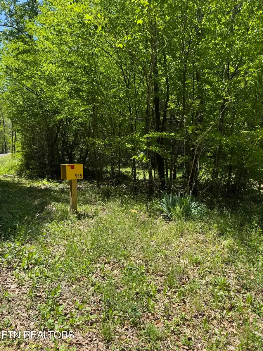915 Chestnut Valley Rd, Vonore, TN 37885 - #3