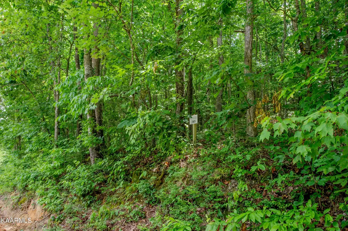 4521 Huffine Rd, Loudon, TN 37774 - #1