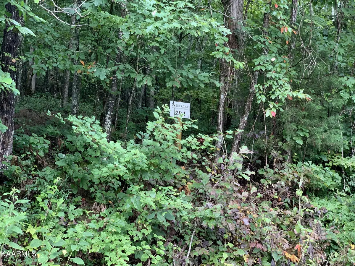 4507 Huffine Rd, Loudon, TN 37774 - #1
