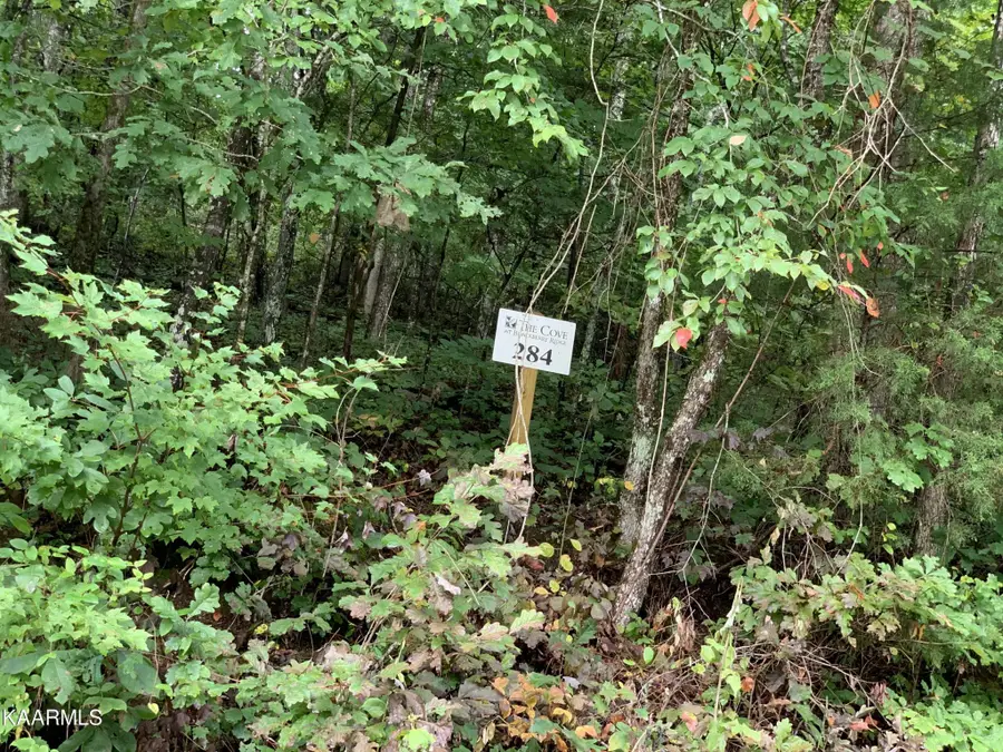 4507 Huffine Rd, Loudon, TN 37774 - #2