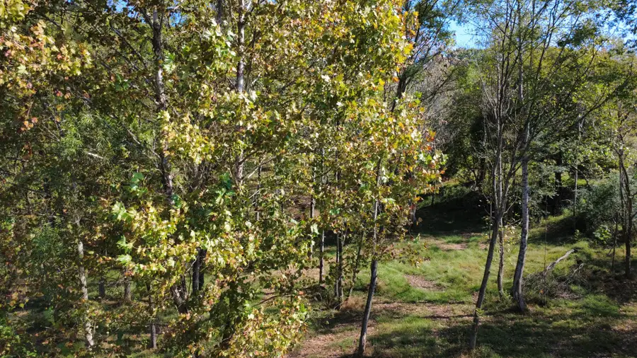 153 Lena Loop, Burns, TN 37029 - #2