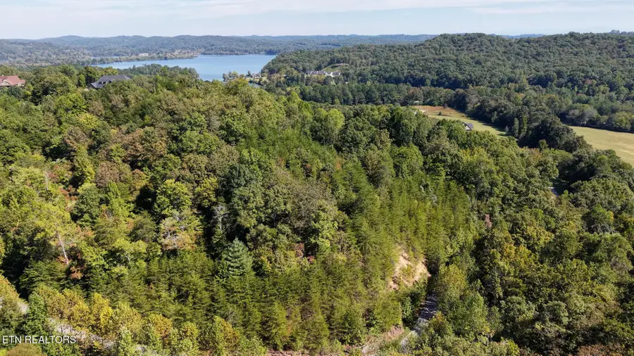 315 Enclave Way, Kingston, TN 37763 - #2