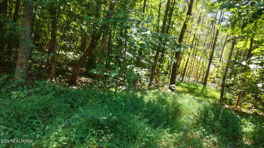 315 Enclave Way, Kingston, TN 37763 - #3