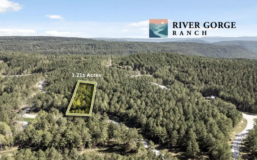 1110 Birds Eye Way, Guild, TN 37340 - #2