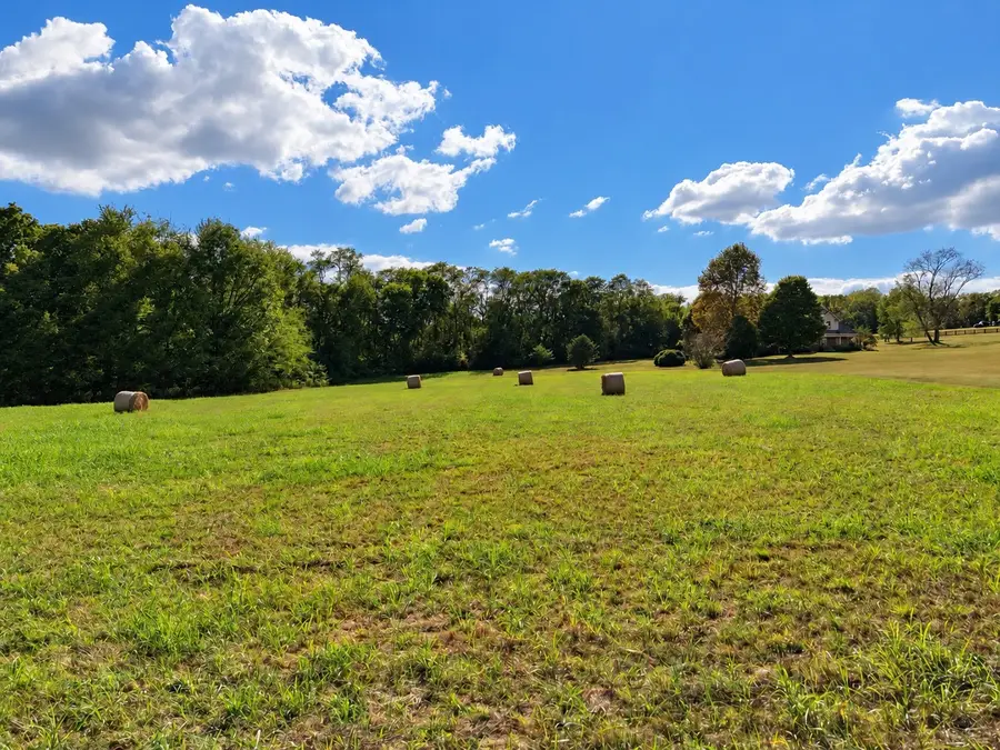 6501 Stargazer Ln, College Grove, TN 37046 - #3