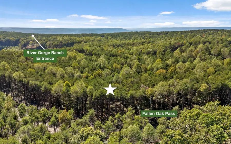 2160 Fallen Oak Pass, Guild, TN 37340 - #3