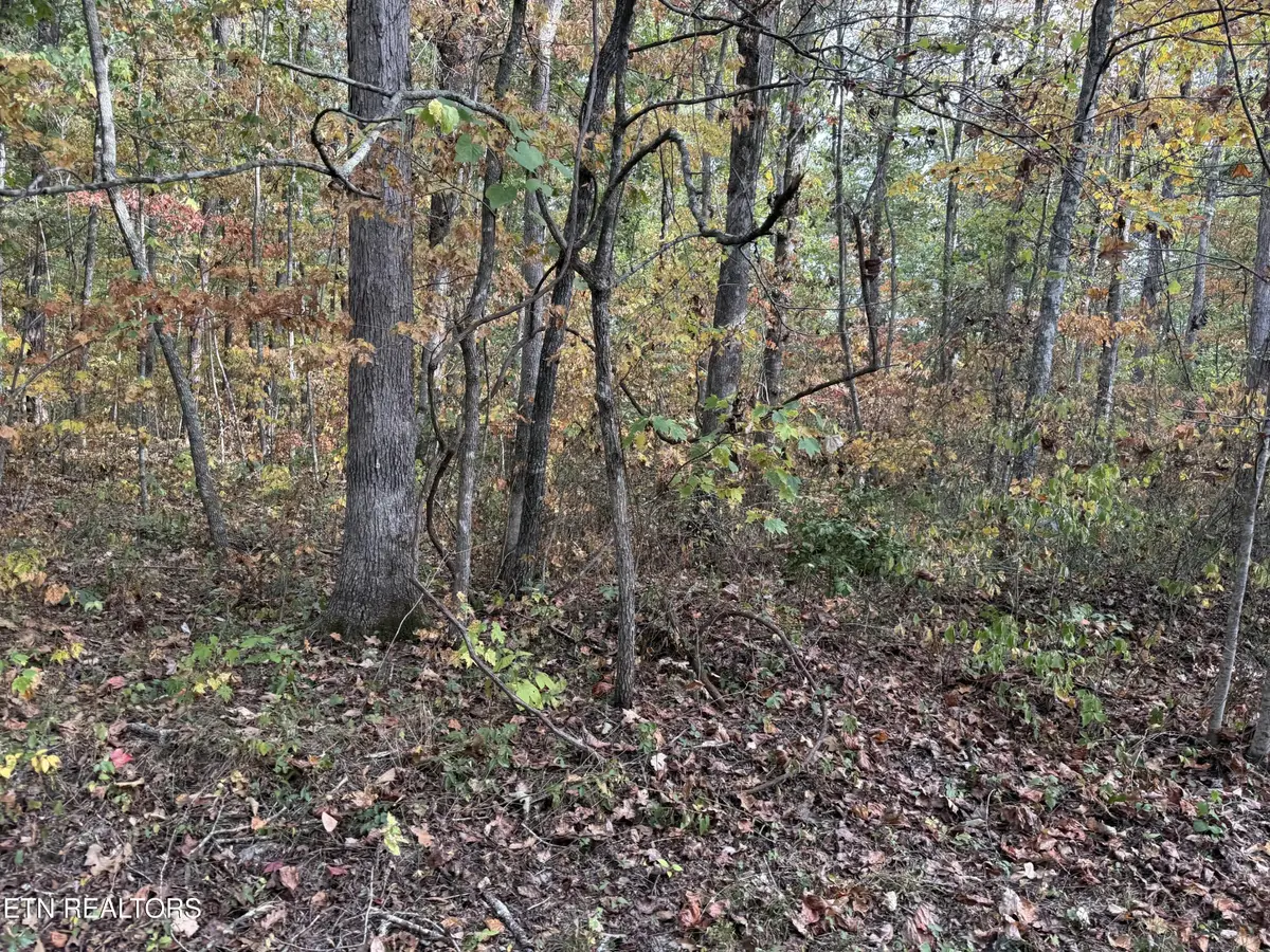 0 Copley Cemetery Rd, Jamestown, TN 38556 - #1