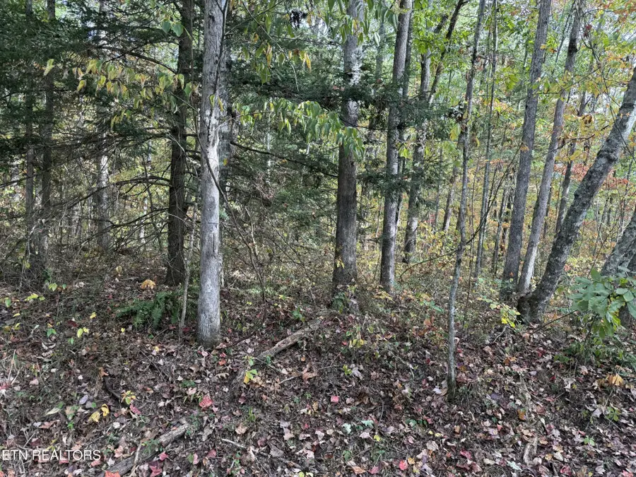 0 Copley Cemetery Rd, Jamestown, TN 38556 - #2