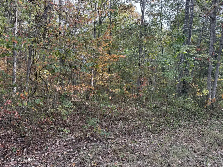 0 Copley Cemetery Rd, Jamestown, TN 38556 - #3