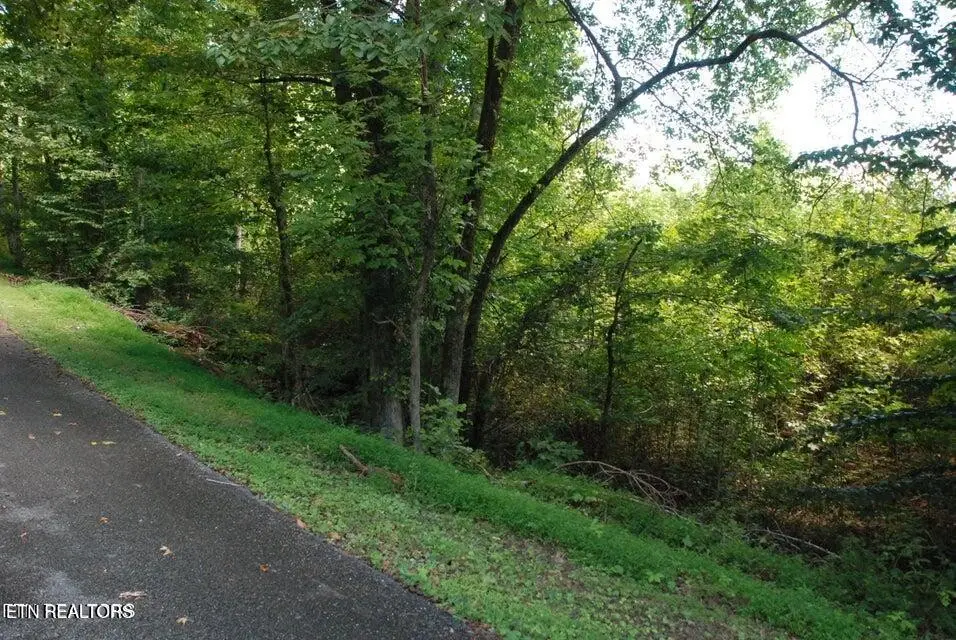 232 Vann Drive, Harriman, TN 37748 - #1