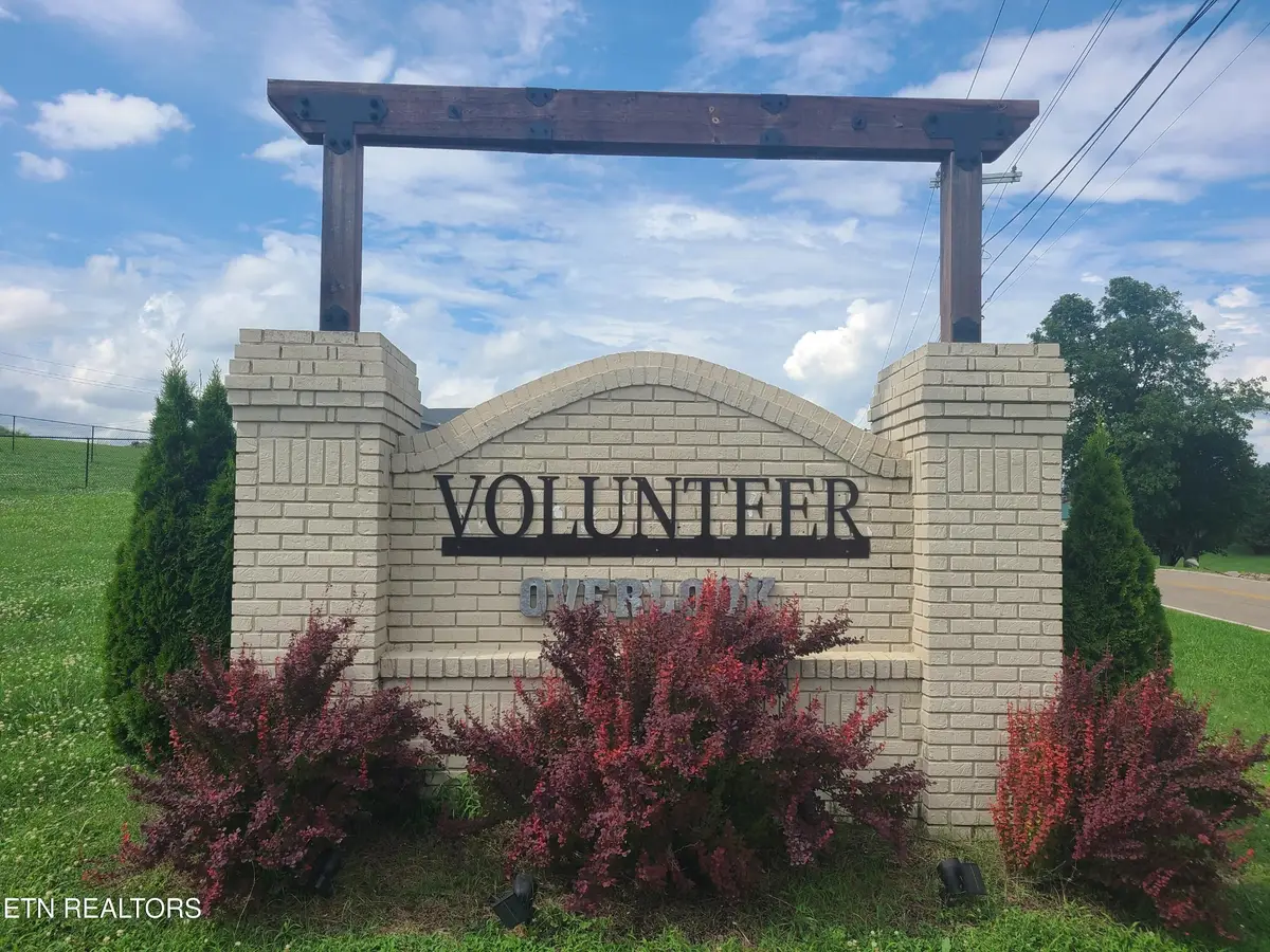 251 Chippewa Lane, Rutledge, TN 37861 - #1