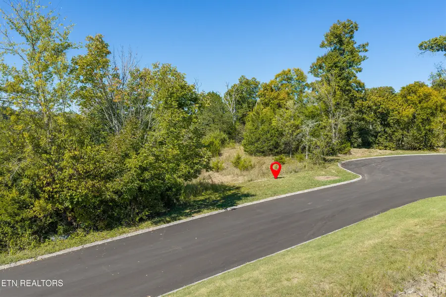 17 Murrell Meadows Drive, Sevierville, TN 37876 - #3