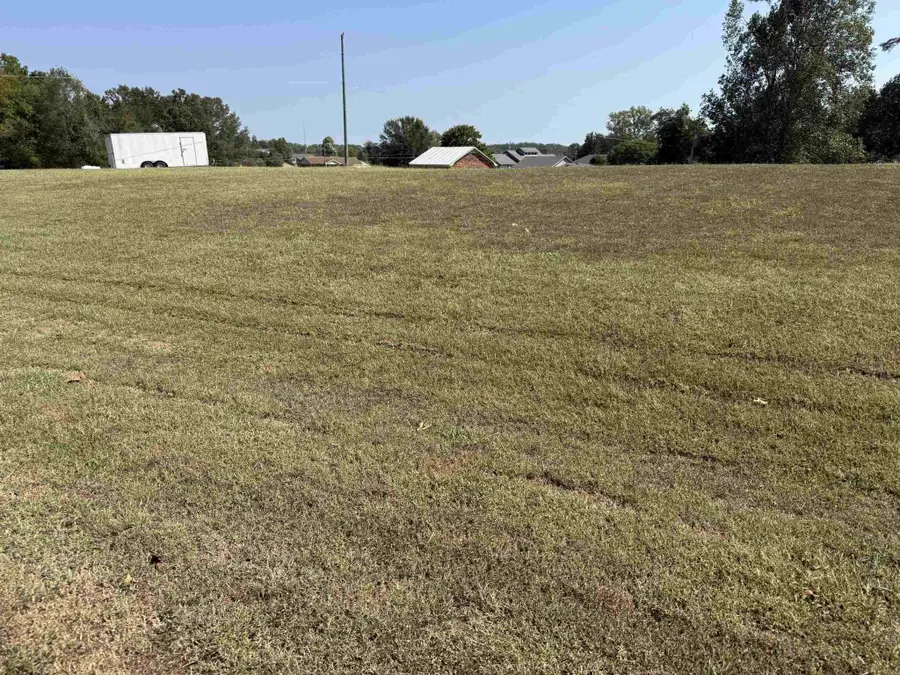 0 Tennessee River Ln, Savannah, TN 38372 - #2