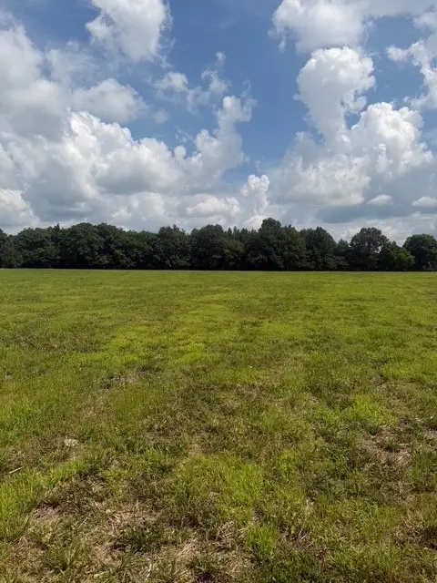 3 Friendship Road, Cross Plains, TN 37049 - #2