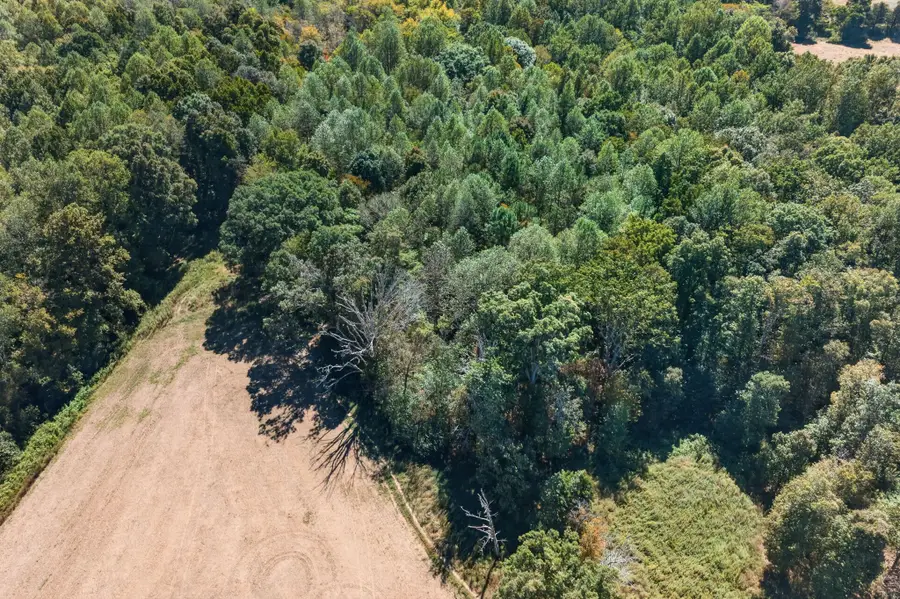 0 Shores Rd, Silver Point, TN 38582 - #3