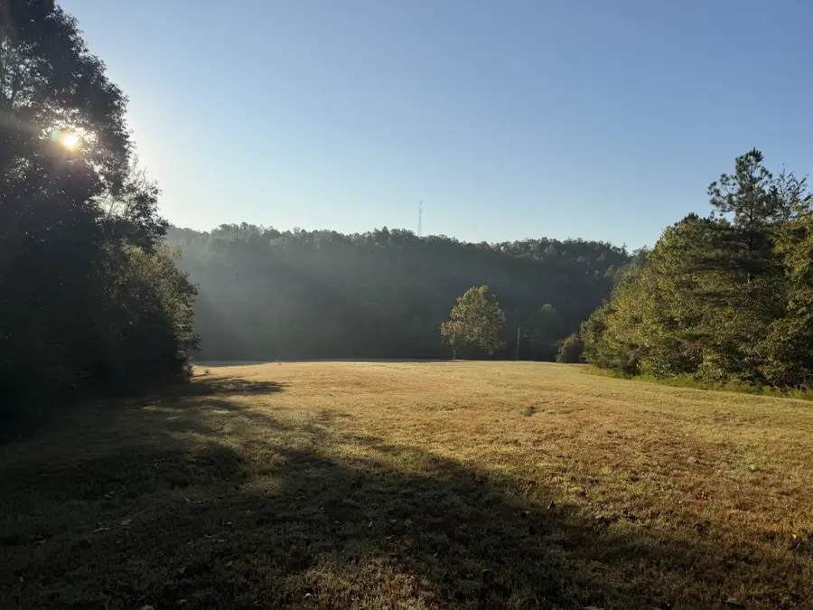 7544 Caney Fork Rd, Fairview, TN 37062 - #2