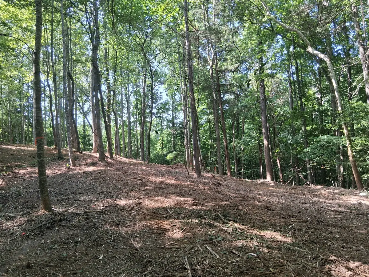 746 October Drive, Smithville, TN 37166 - #1