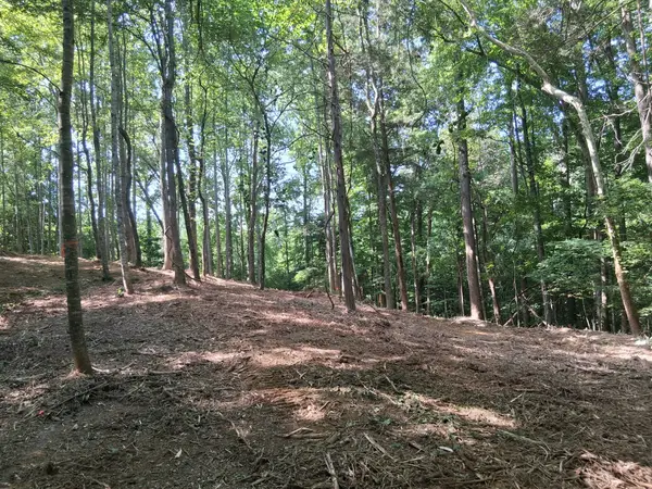 746 October Drive, Smithville, TN 37166