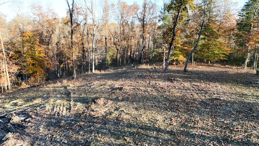 754 Chestnut Ridge Rd, Pulaski, TN 38478 - #3
