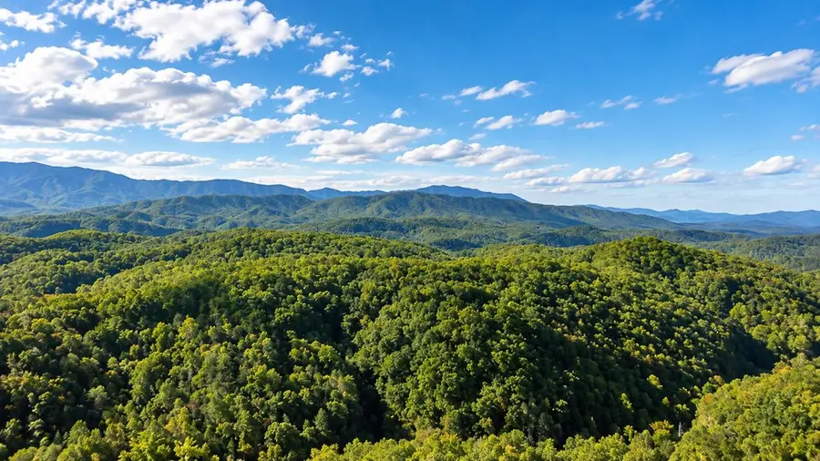 4417 Wilhite Rd, Cosby, TN 37722 - #3