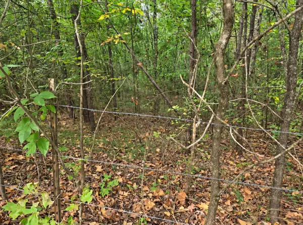 0 Old Pinhook Rd, Smithville, TN 37166