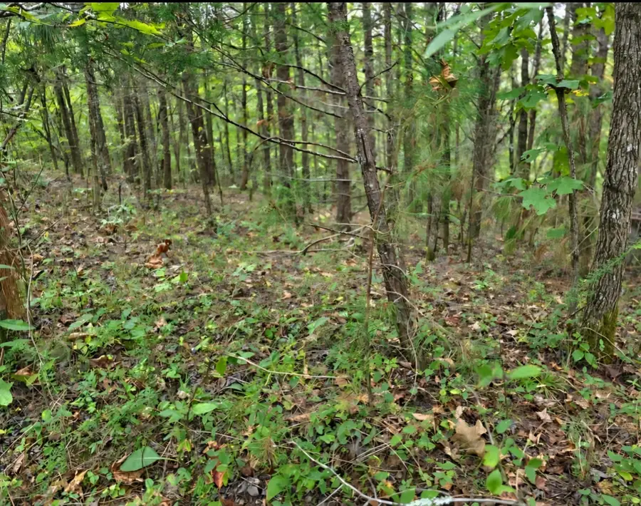0 Old Pinhook Rd, Smithville, TN 37166 - #2