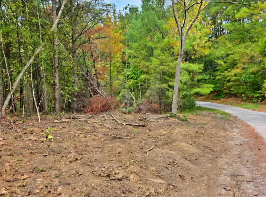 0 Old Pinhook Rd, Smithville, TN 37166 - #3