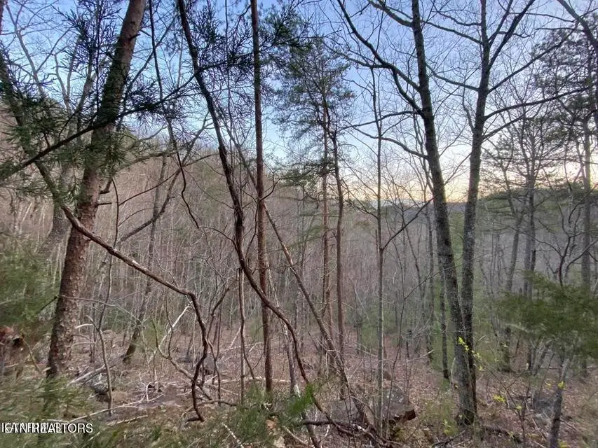 0 Beechwood St, Sevierville, TN 37876 - #1